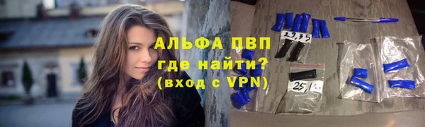 сатива Медвежьегорск