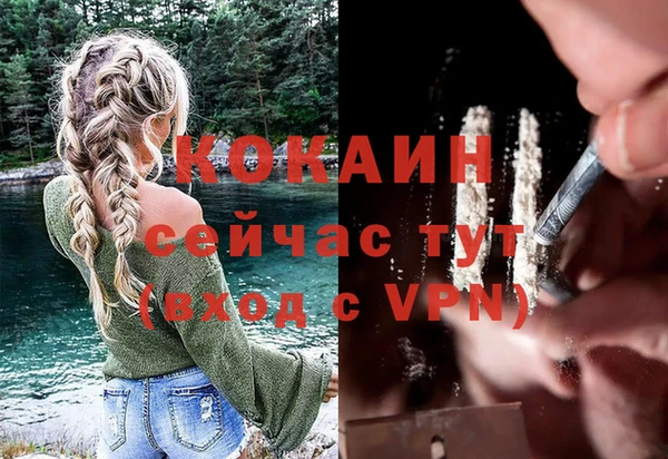 сатива Медвежьегорск