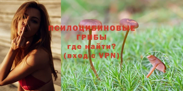 сатива Медвежьегорск